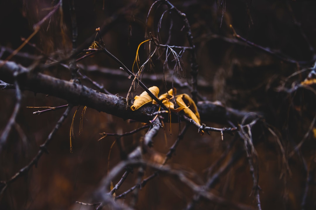 Современные технологии кибербезопасности